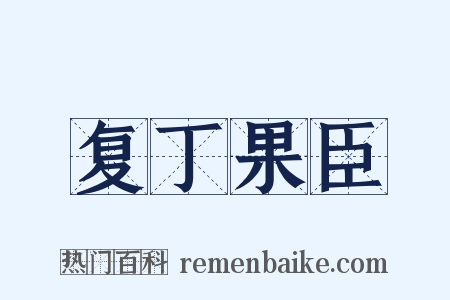 复丁果臣是什么意思的图片